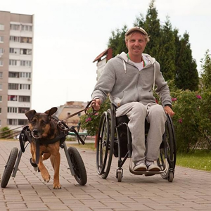 Саша Авдеич с собакой с инвалидностью с коласми на задних лапах
