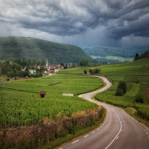 Image by Tama66 titled ’road, vineyards, clouds’. Source: Pixabay