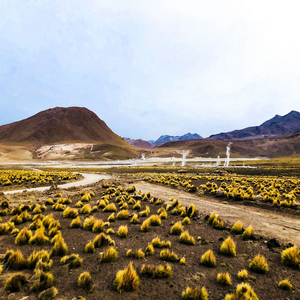 Image by NelliBila titled ’geyser, del tatio, mountain’. Source: Pixabay