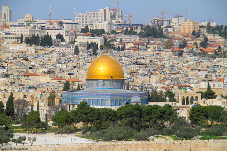 8-days tour to Israel Whats app  +972542128323